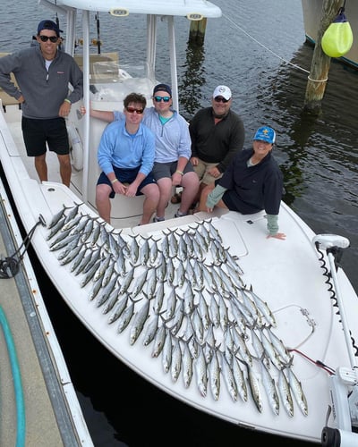 Inshore Trip - 22' Tidewater in Panama City