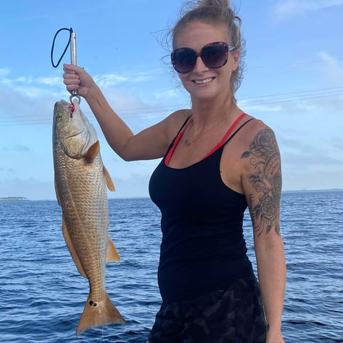 Inshore Trip - 22' Tidewater in Panama City