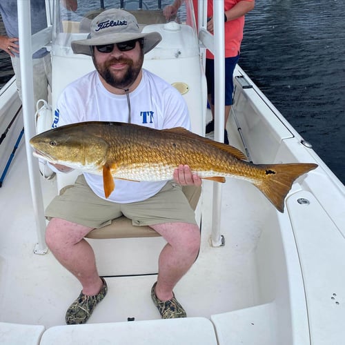 Inshore Trip - 22' Tidewater in Panama City
