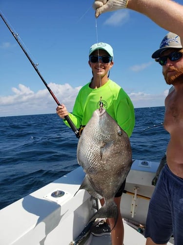 6-Hour Bottomfishing & Trolling In Orange Beach