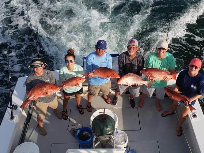 6-Hour Bottomfishing & Trolling In Orange Beach