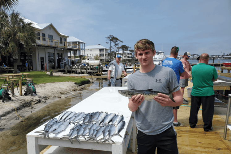 6 Hour Bottom & Trolling in Orange Beach