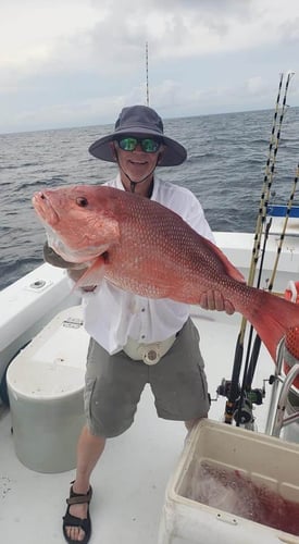 6-Hour Bottomfishing & Trolling In Orange Beach