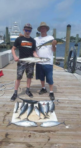 6 Hour Bottom & Trolling in Orange Beach