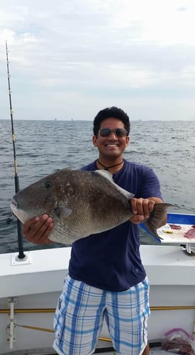 6 Hour Bottom & Trolling in Orange Beach