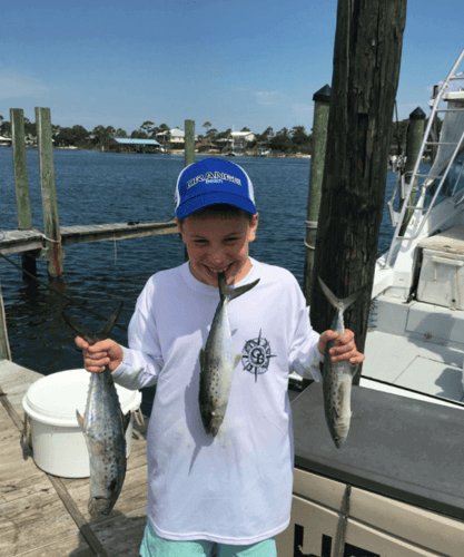 6-Hour Bottomfishing & Trolling In Orange Beach