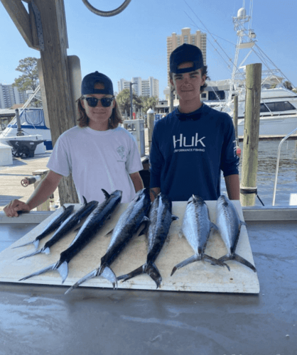 6 Hour Bottom & Trolling in Orange Beach