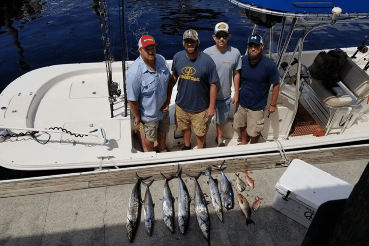 Dolphin Spotting And Fishing In Panama City