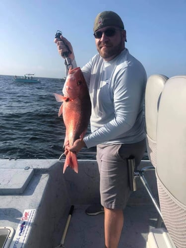 Snapper Trip - 24' Blazer Bay in Dauphin Island