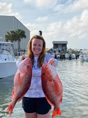 Snapper Trip - 24' Blazer Bay in Dauphin Island