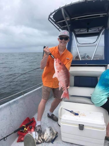 Snapper Trip - 24' Blazer Bay in Dauphin Island