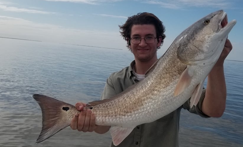 Calcasieu Lake Inshore Frenzy In Sulphur