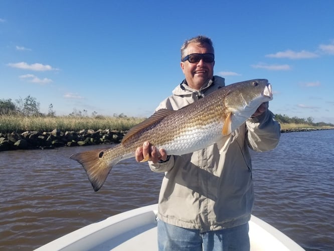 Calcasieu Lake Inshore Frenzy In Sulphur