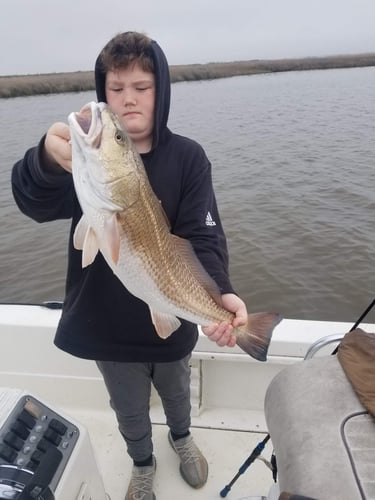 Calcasieu Lake Inshore Frenzy In Sulphur