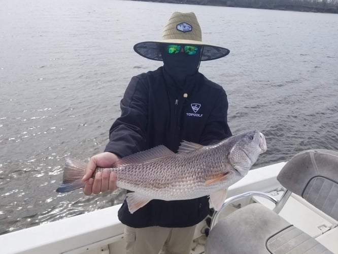 Calcasieu Lake Inshore Frenzy In Sulphur