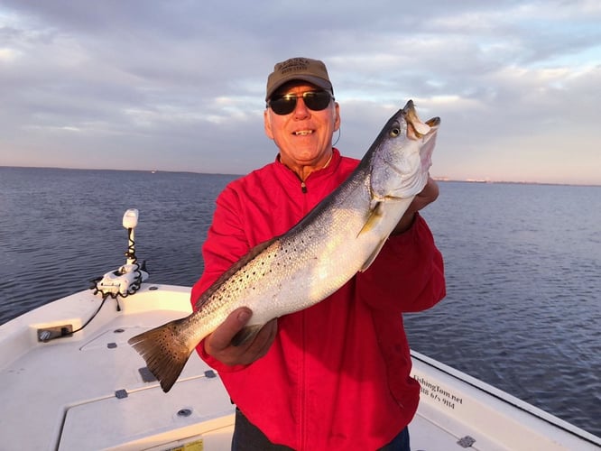 Calcasieu Lake Inshore Frenzy in Sulphur