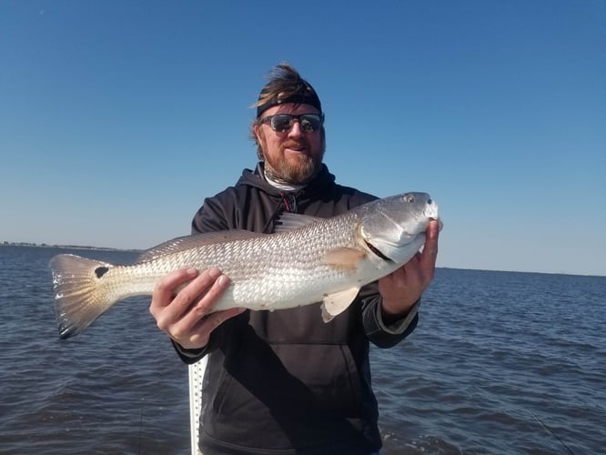 Calcasieu Lake Inshore Frenzy In Sulphur