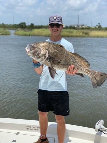 Calcasieu Lake Inshore Frenzy In Sulphur