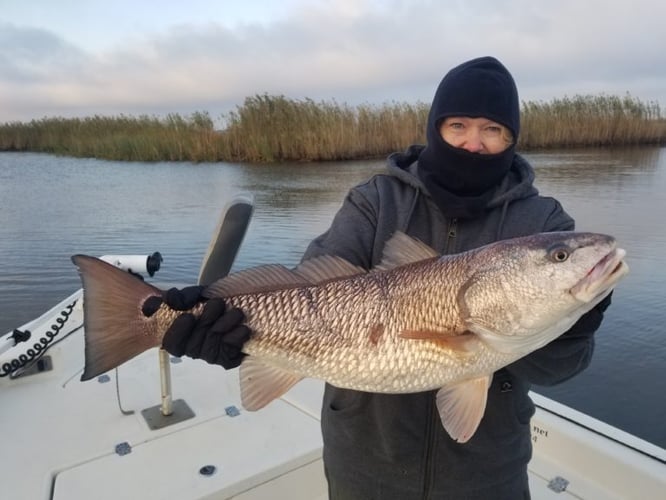 Calcasieu Lake Inshore Frenzy In Sulphur