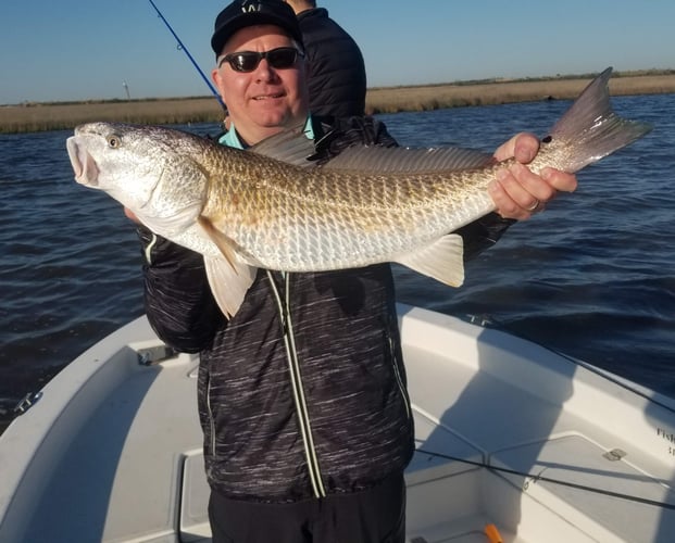 Calcasieu Lake Inshore Frenzy In Sulphur