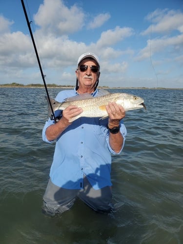 Calcasieu Lake Inshore Frenzy In Sulphur