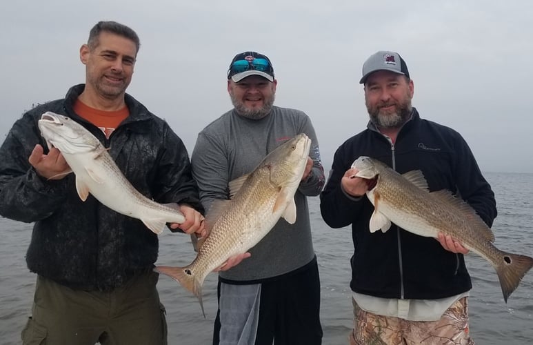 Calcasieu Lake Inshore Frenzy In Sulphur