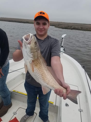 Calcasieu Lake Inshore Frenzy in Sulphur