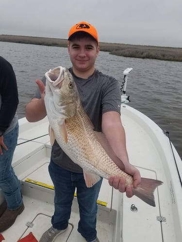 Calcasieu Lake Inshore Frenzy In Sulphur