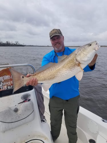 Calcasieu Lake Inshore Frenzy In Sulphur