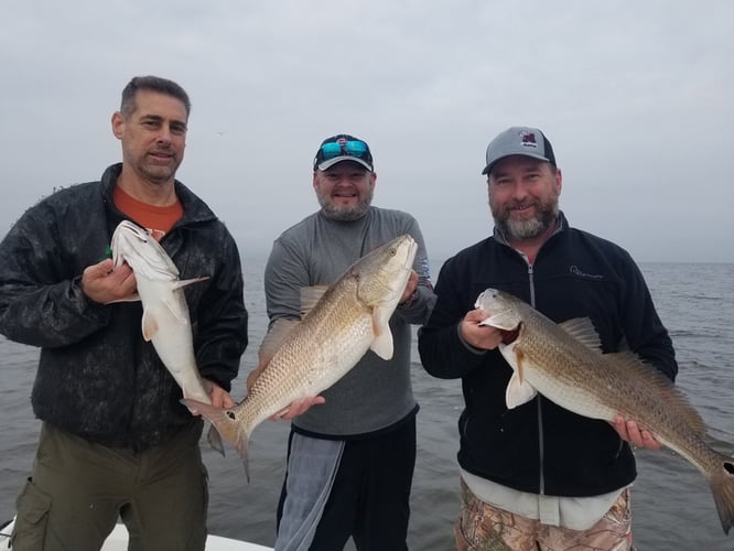 Calcasieu Lake Inshore Frenzy In Sulphur