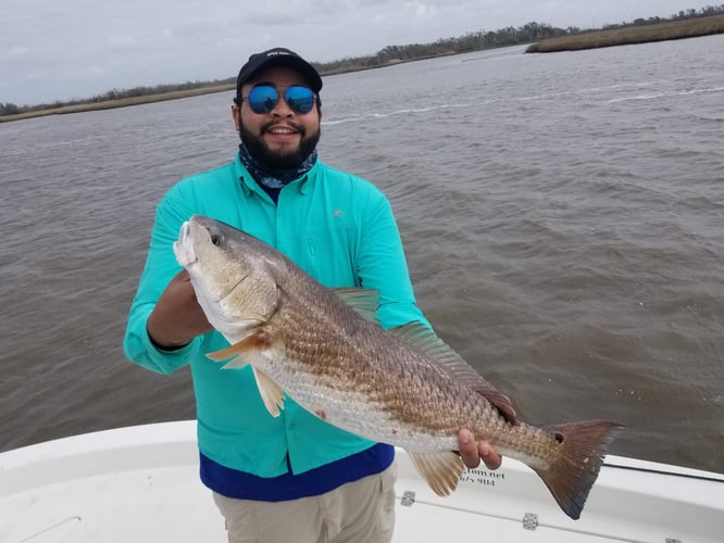 Calcasieu Lake Inshore Frenzy in Sulphur
