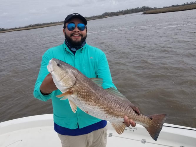 Calcasieu Lake Inshore Frenzy In Sulphur