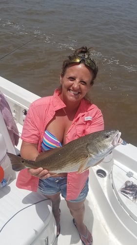 Calcasieu Lake Inshore Frenzy In Sulphur