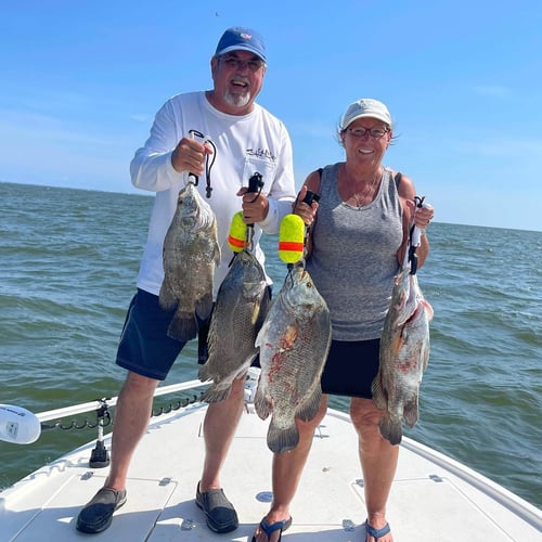 Tripletail Fishing In Apalachicola In Eastpoint