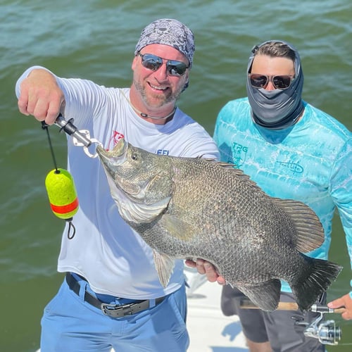 Tripletail Fishing In Apalachicola In Eastpoint