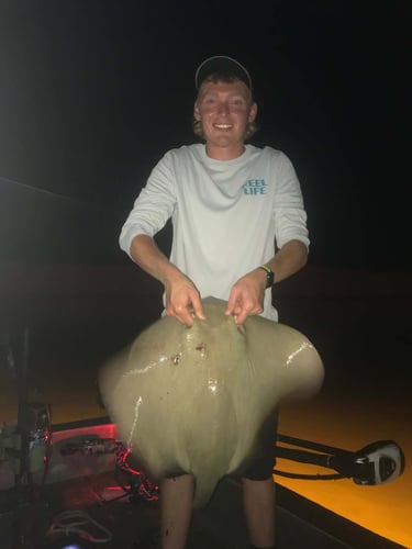 Orange Beach Bowfishing In Orange Beach