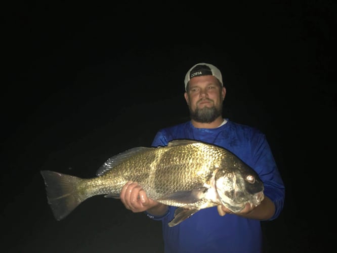 Orange Beach Bowfishing in Orange Beach