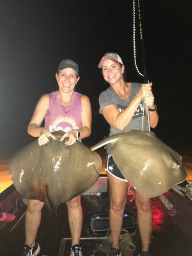 Orange Beach Bowfishing in Orange Beach