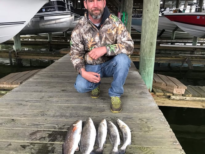 Reel In The Bay With Captain Harry In Hitchcock