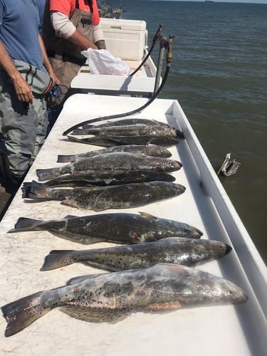 Reel In The Bay With Captain Harry In Hitchcock