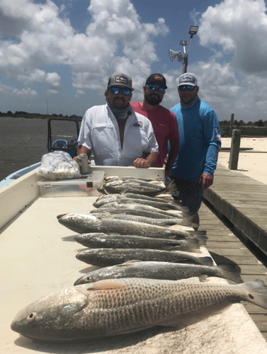 Reel In The Bay With Captain Harry In Hitchcock