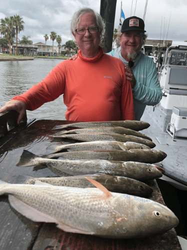 Reel In The Bay With Captain Harry In Hitchcock