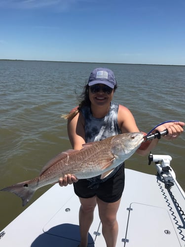 Galveston, TX Bay Fishing Charters  | Captain Experiences In Hitchcock