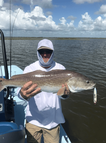 Galveston, TX Bay Fishing Charters  | Captain Experiences In Hitchcock