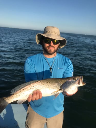 Galveston, TX Bay Fishing Charters  | Captain Experiences In Hitchcock