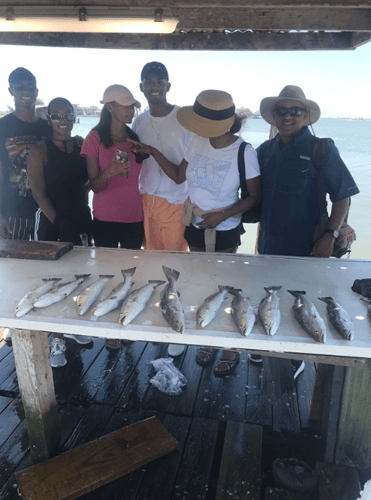 Reel In The Bay With Captain Harry In Hitchcock