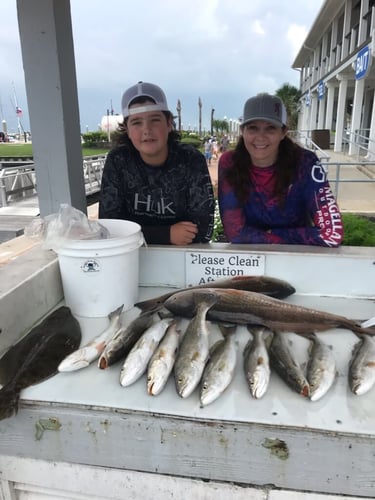 Half Day Bay Fishing With Captain Harry In Hitchcock