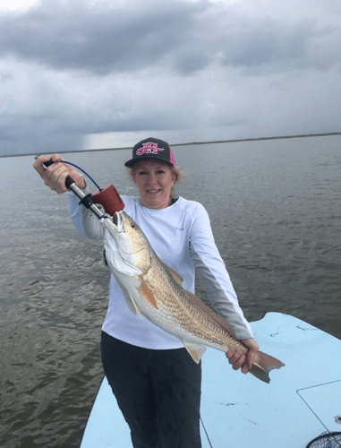 Reel In The Bay With Captain Harry In Hitchcock