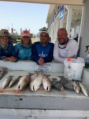 Reel In The Bay With Captain Harry In Hitchcock