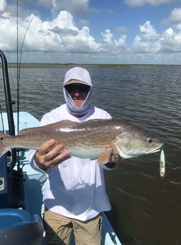 Reel In The Bay With Captain Harry In Hitchcock